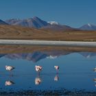 Laguna in Südbolivien