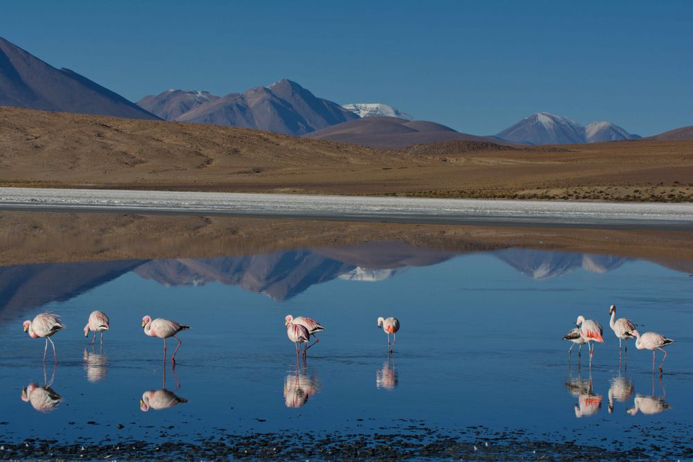 Laguna in Südbolivien