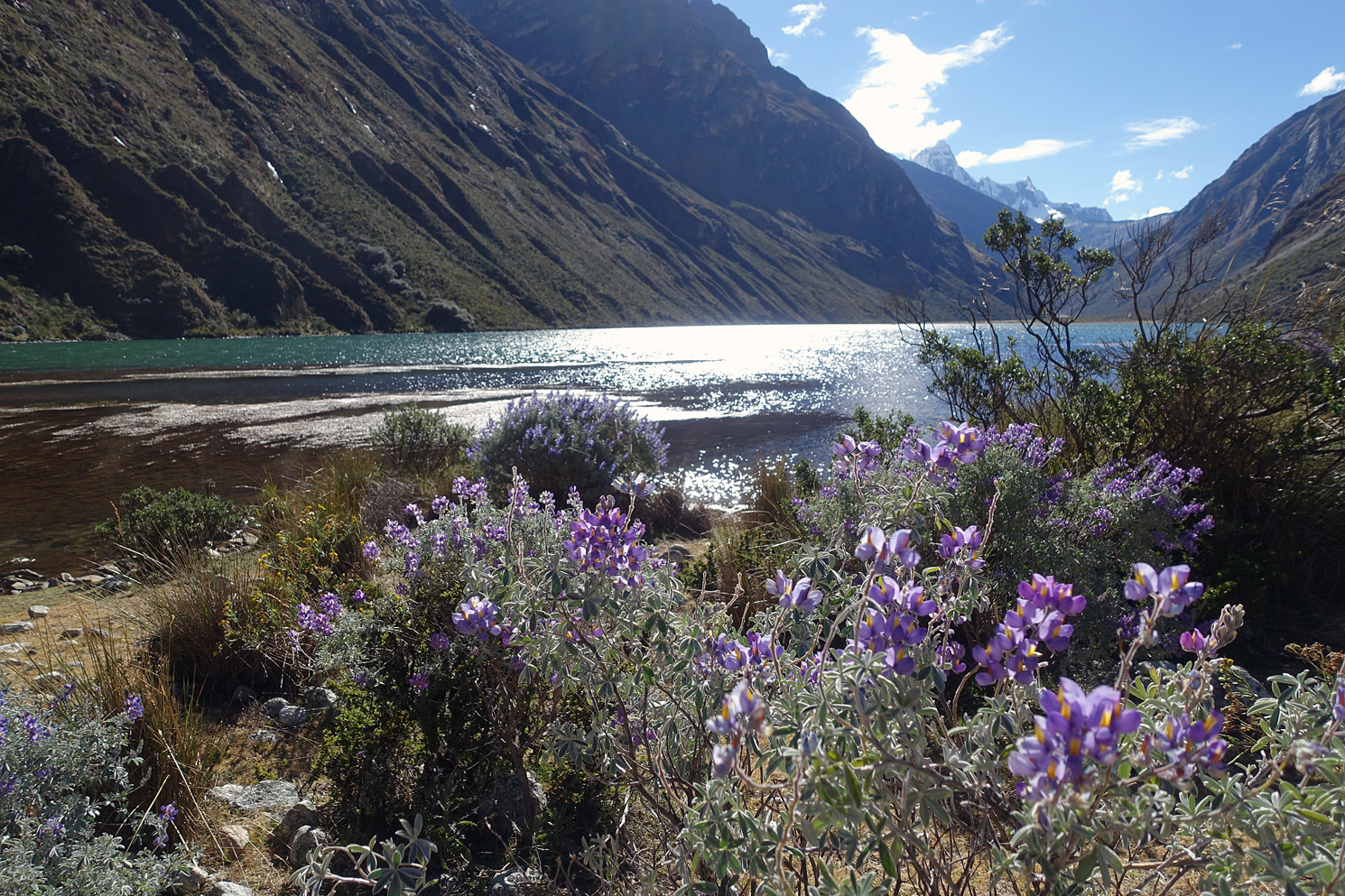 Laguna Jatuncocha 3900m