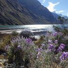 Laguna Jatuncocha 3900m