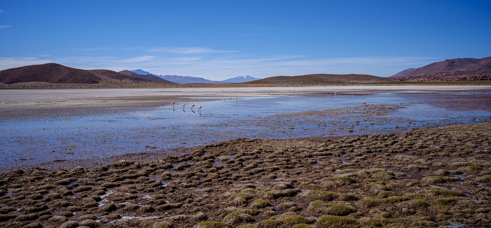 Laguna Katal