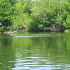 Laguna la Arestinga