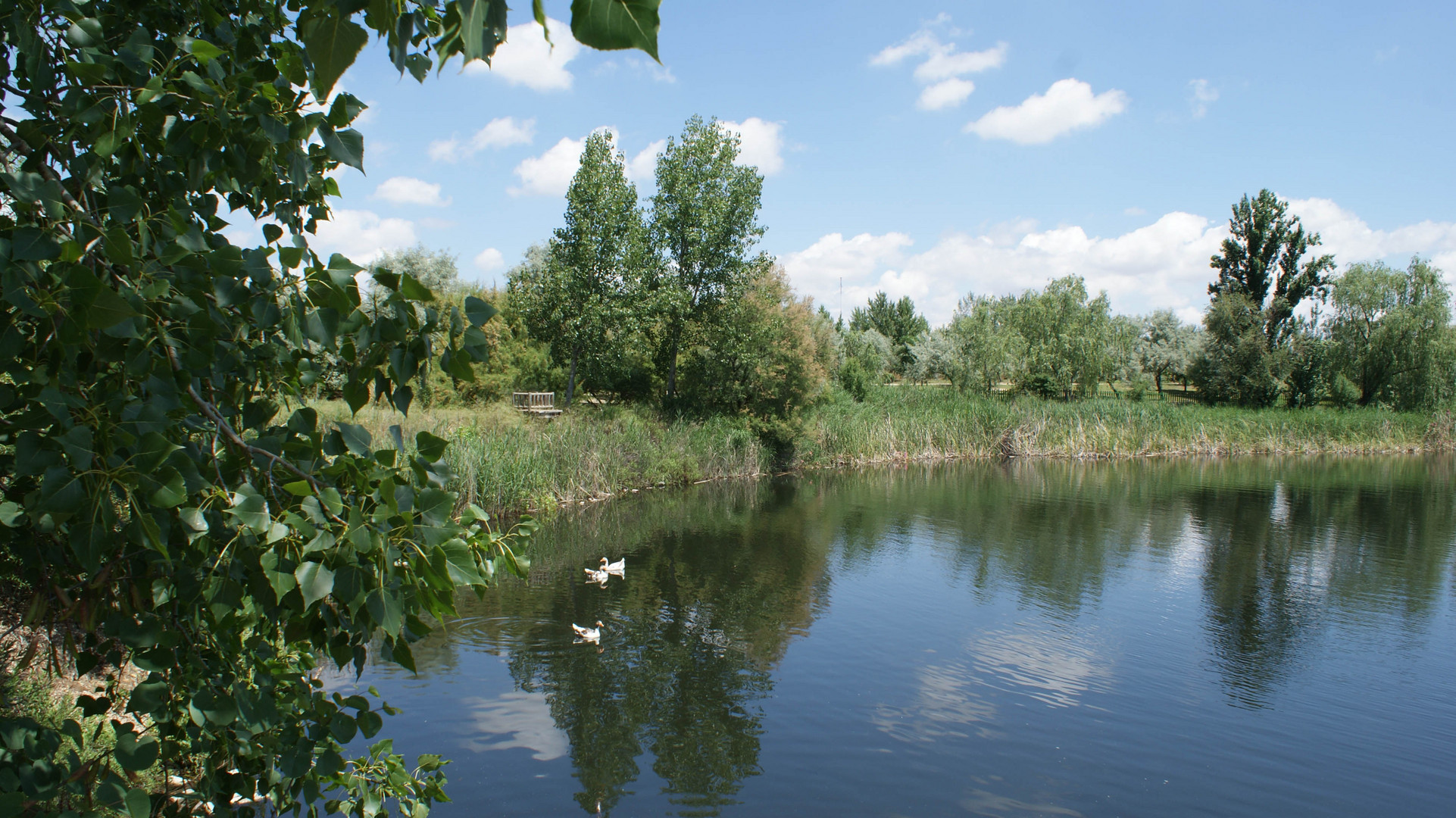 laguna las madres