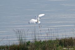 Laguna Lignano 2