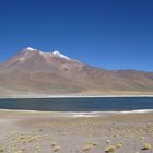 Laguna Miniques; Atacama, Chile