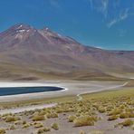 Laguna Miscanti 2, Chile