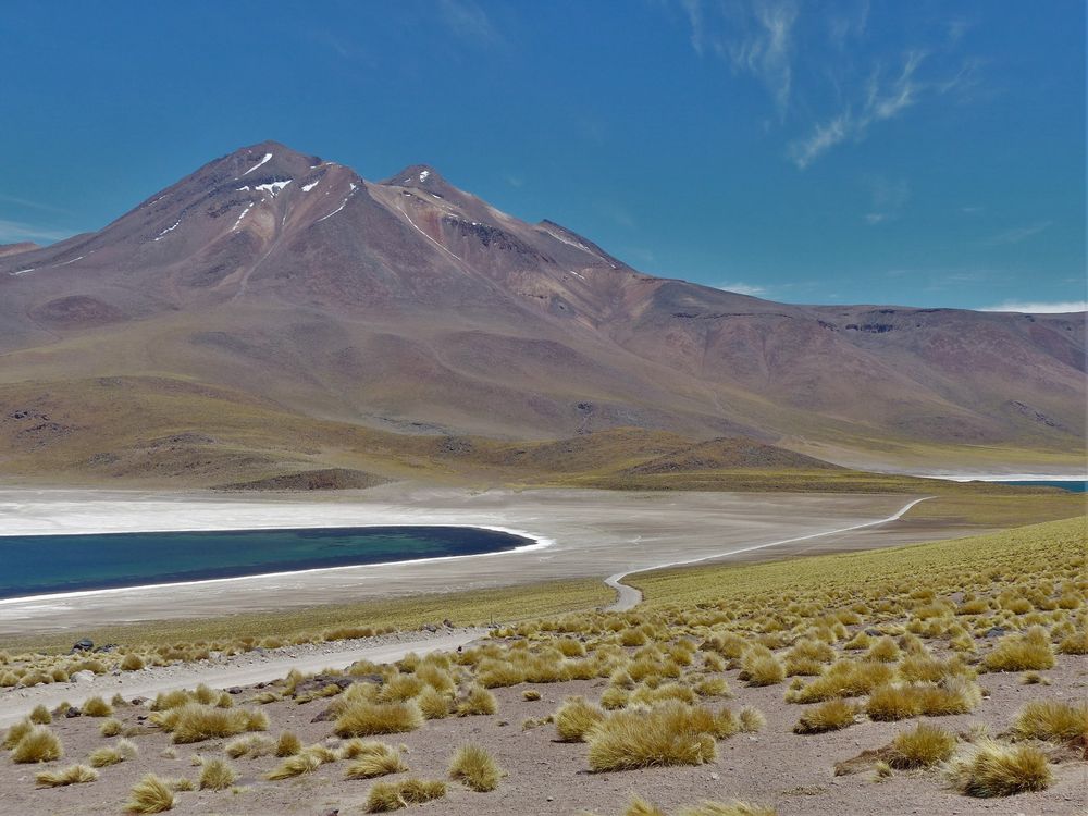 Laguna Miscanti 2, Chile