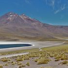 Laguna Miscanti 2, Chile