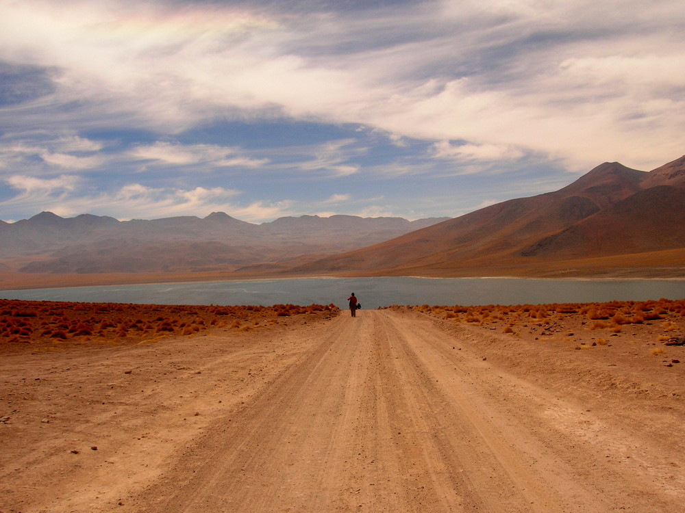 Laguna Miscanti