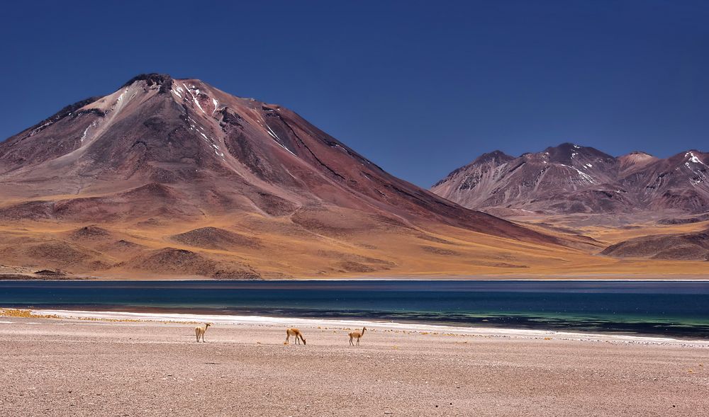 Laguna Miscanti