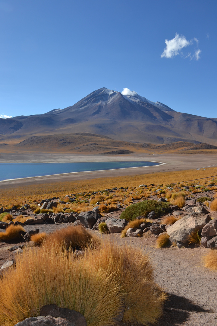 Laguna Miscanti