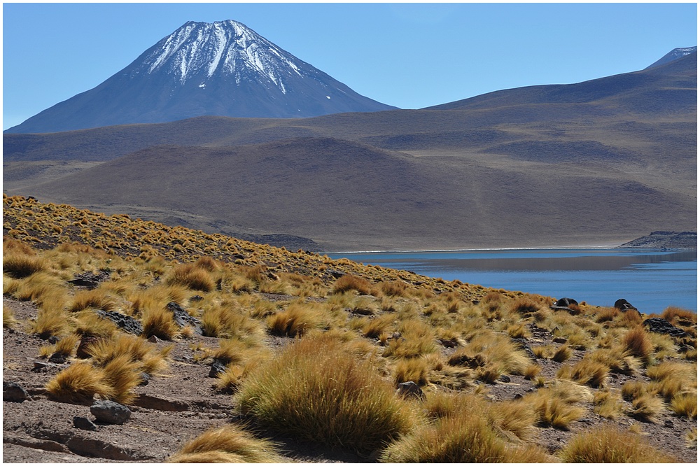 Laguna Miscanti