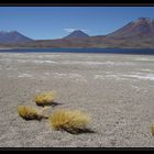 Laguna Miscanti