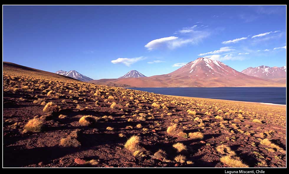 Laguna Miscanti