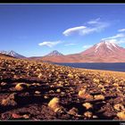 Laguna Miscanti