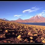 Laguna Miscanti