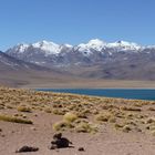 Laguna Miscanti, Atacama (Chile)
