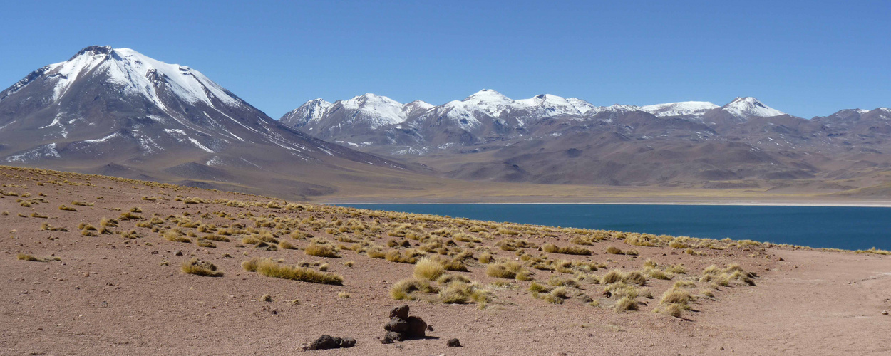 Laguna Miscanti, Atacama (Chile)