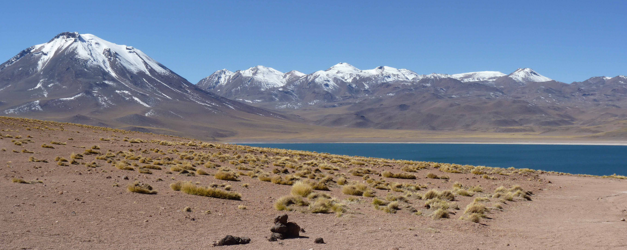 Laguna Miscanti, Atacama, Chile