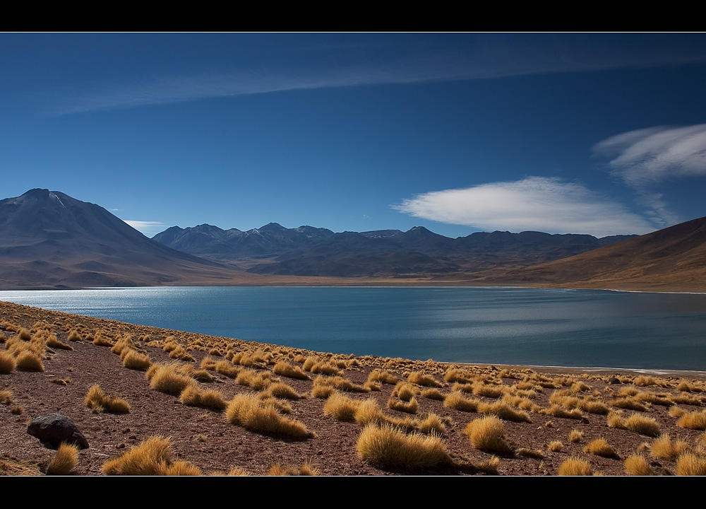 Laguna Miscanti Foto & Bild | south america, chile, world Bilder auf