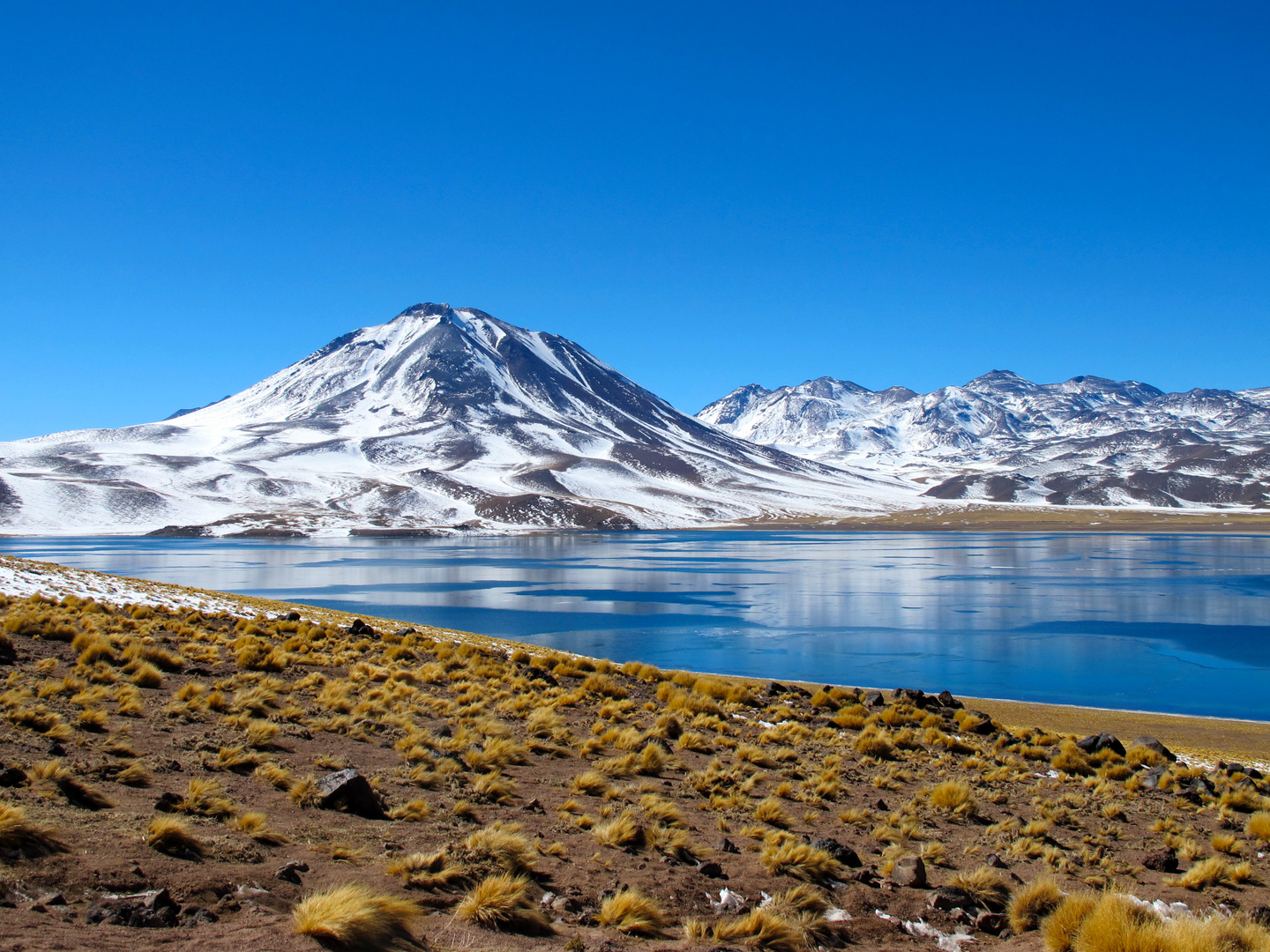 Laguna Miscanti, Chile (2013)