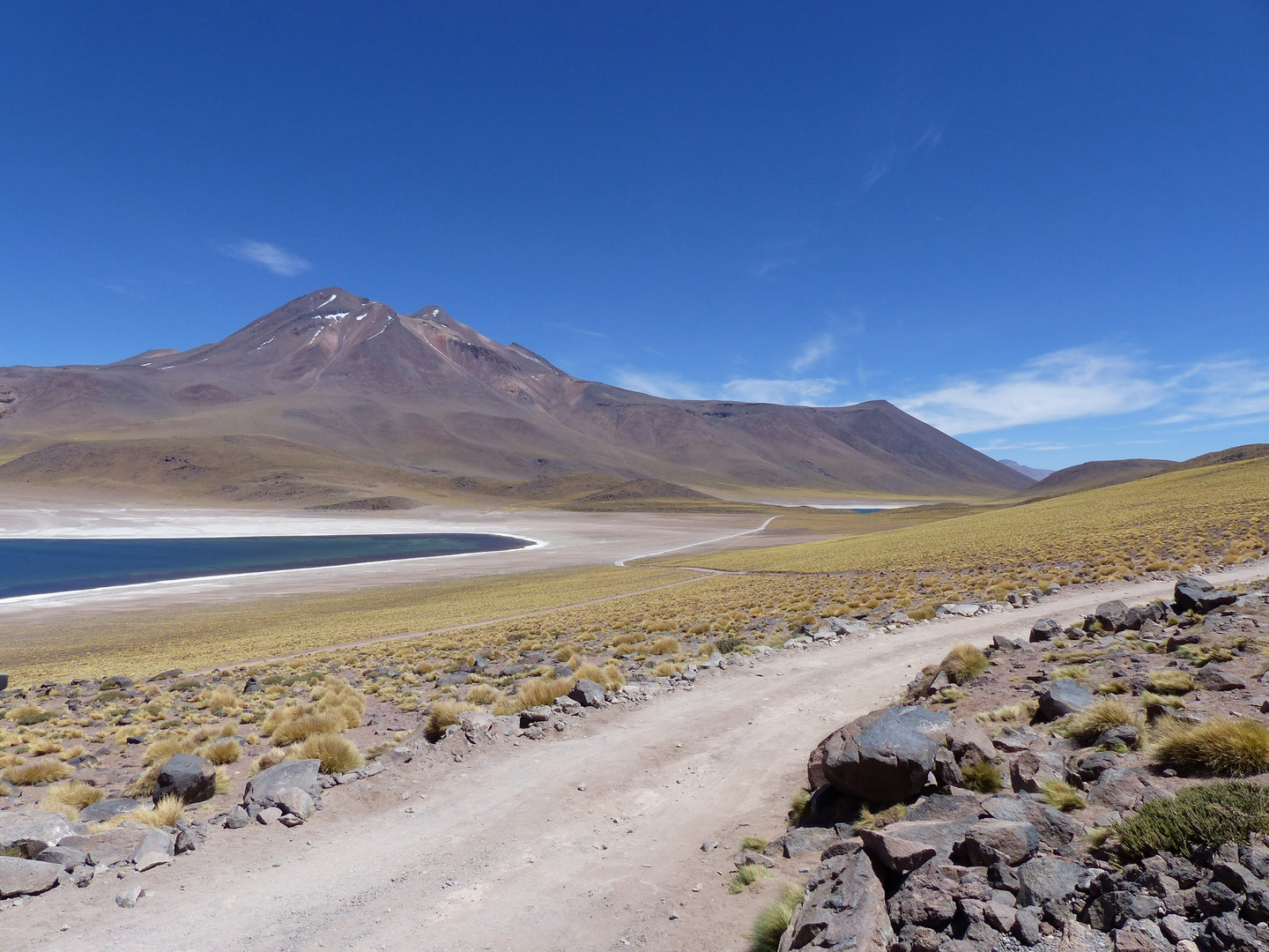 Laguna Miscanti, Chile