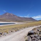 Laguna Miscanti, Chile