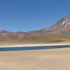 Laguna Miscanti - Chile - Atacama Wüste