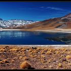 Laguna Miscanti - Chile