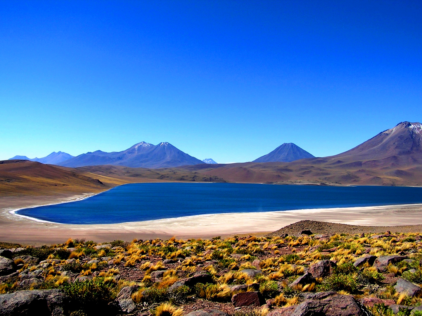 Laguna Miscanti