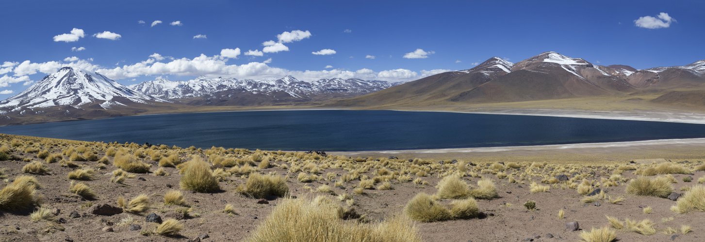 Laguna Miscanti