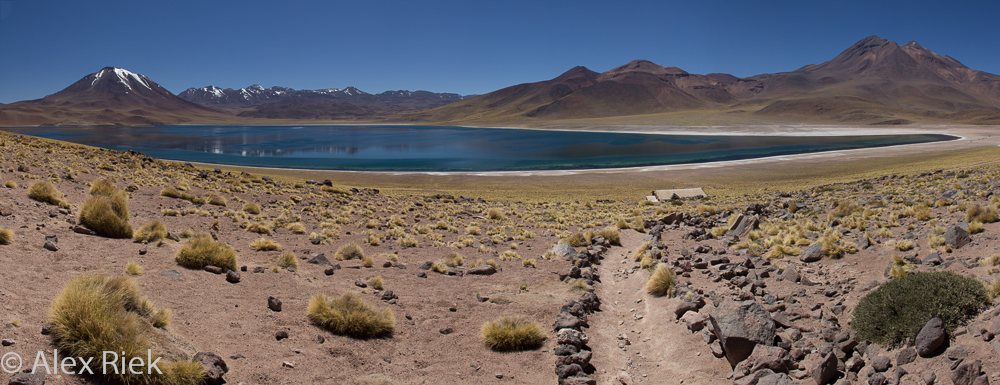 Laguna Miscanti II