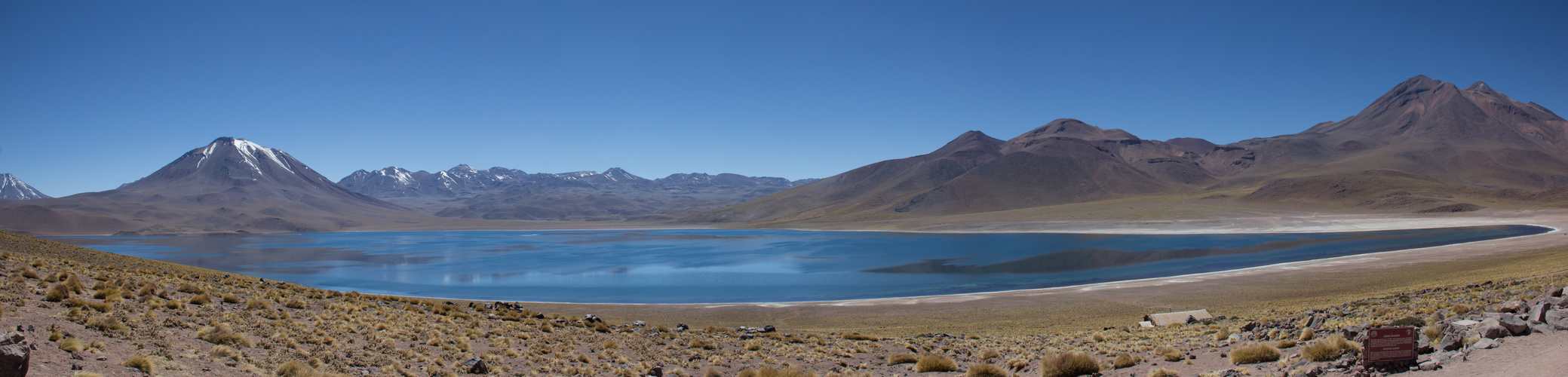 Laguna Miscanti Panorama