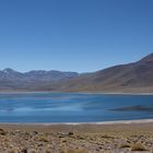 Laguna Miscanti Panorama