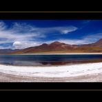 Laguna Miscanti - Panorama