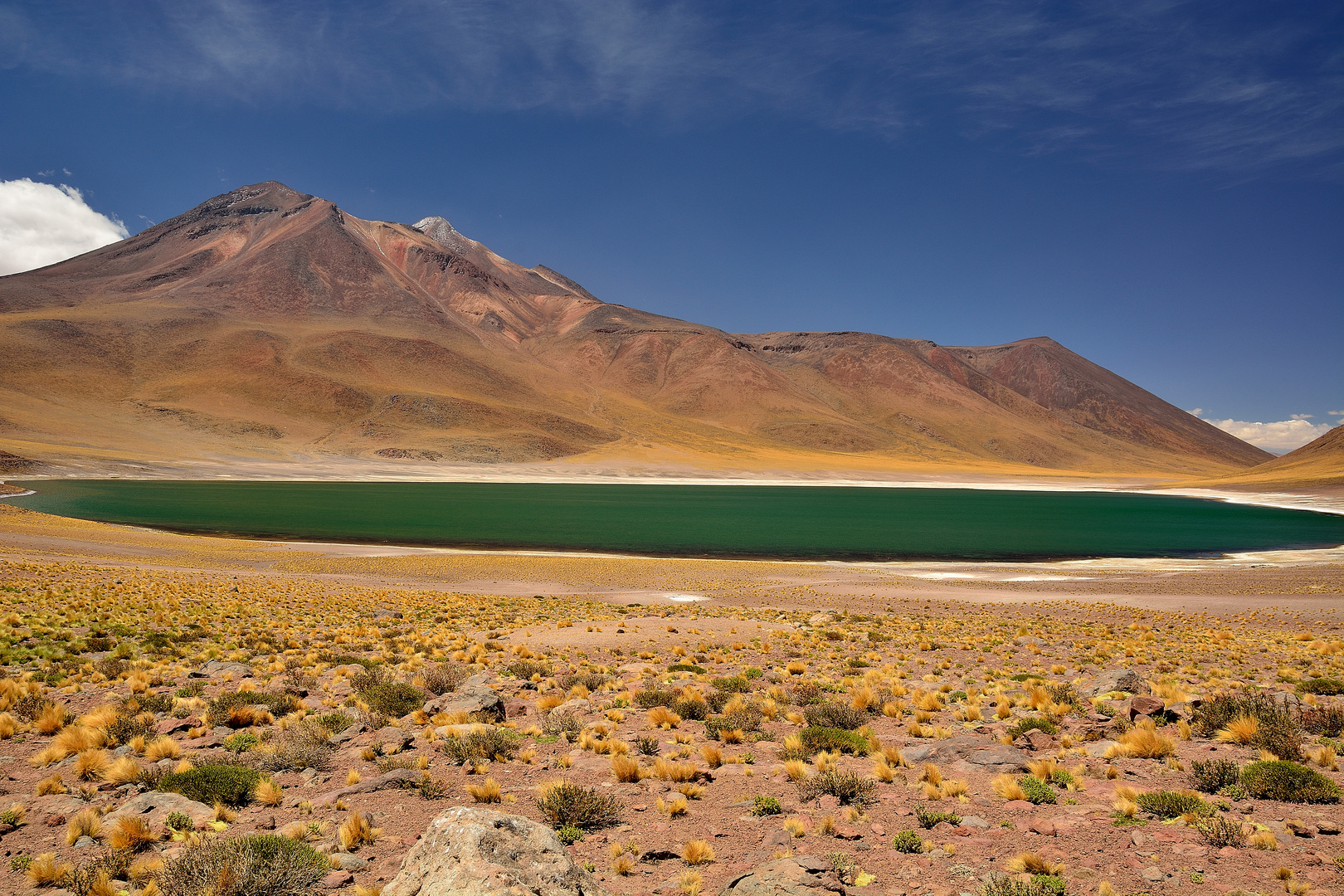 Laguna Miscanti und Miñiques in Chile