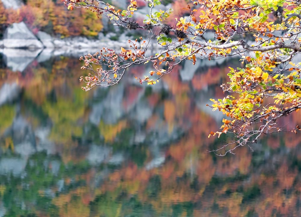 Laguna Negra de Marta Roldan 