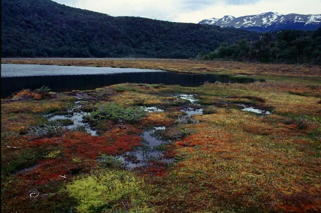 Laguna Negra, NP Tierra del Fuego, Argentinien