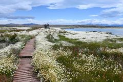 laguna nimez 2