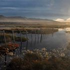 Laguna Nimez, El Calafate