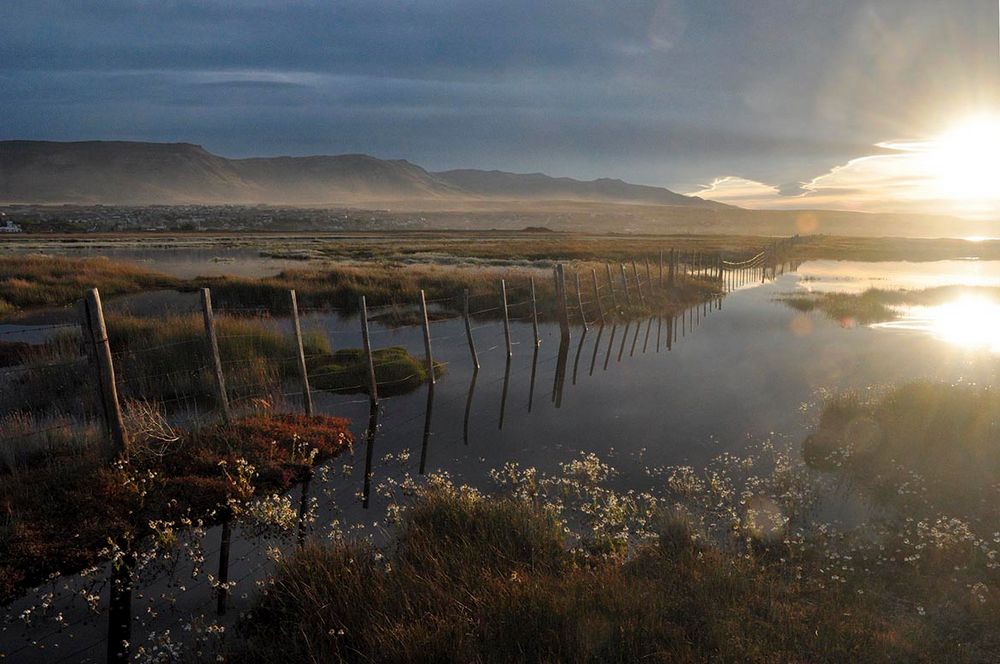 Laguna Nimez, El Calafate