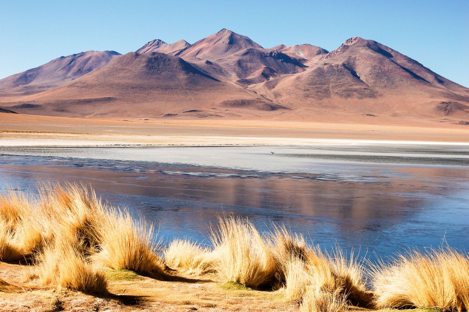 Laguna Pastos Grandes