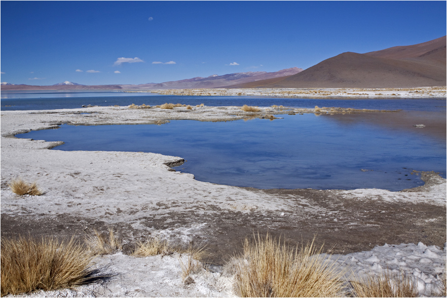 Laguna Salada