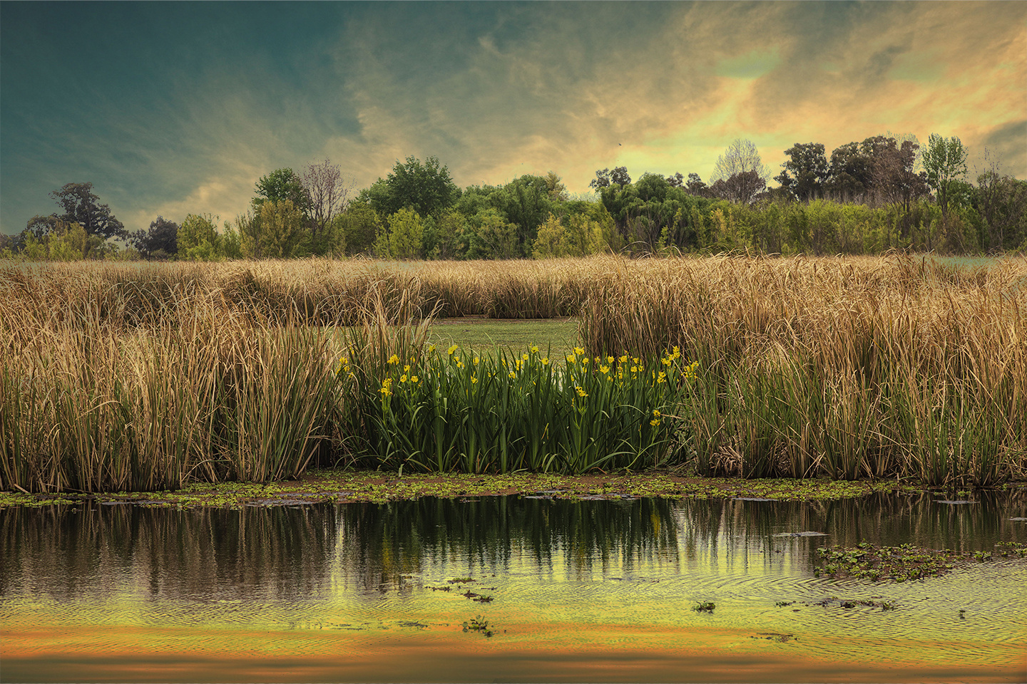 Laguna San Vicente