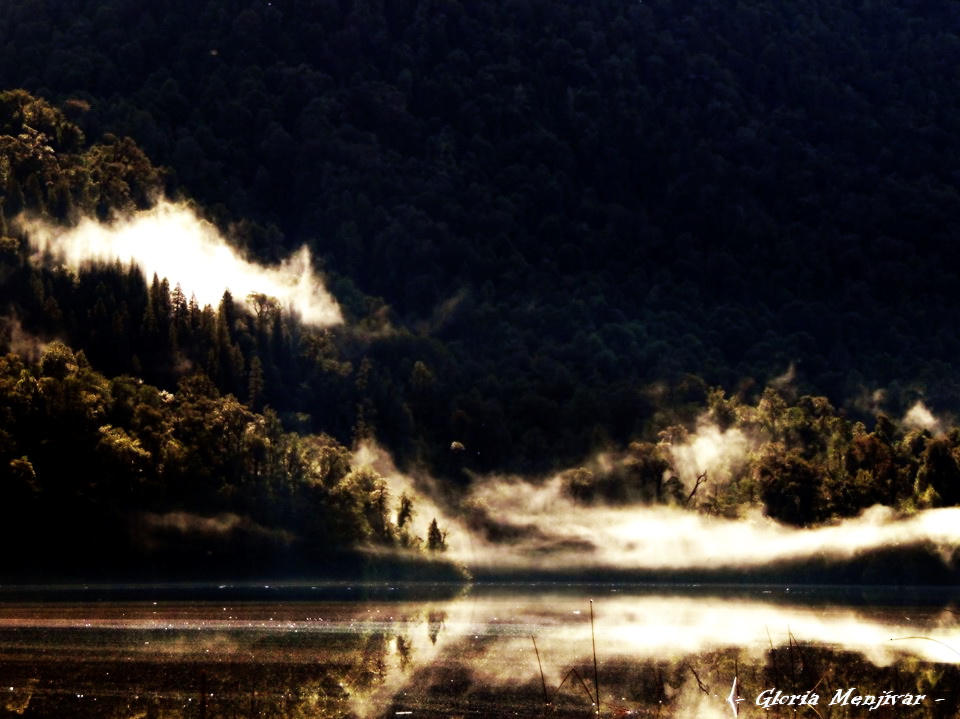 Laguna Sargazo, en Parque Nacional Alerce. Andino.