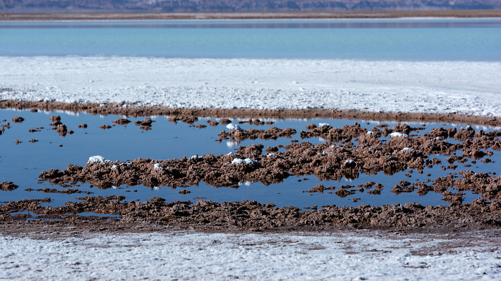 Laguna Tebinquinche - Detail