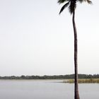 Laguna Tortuguero