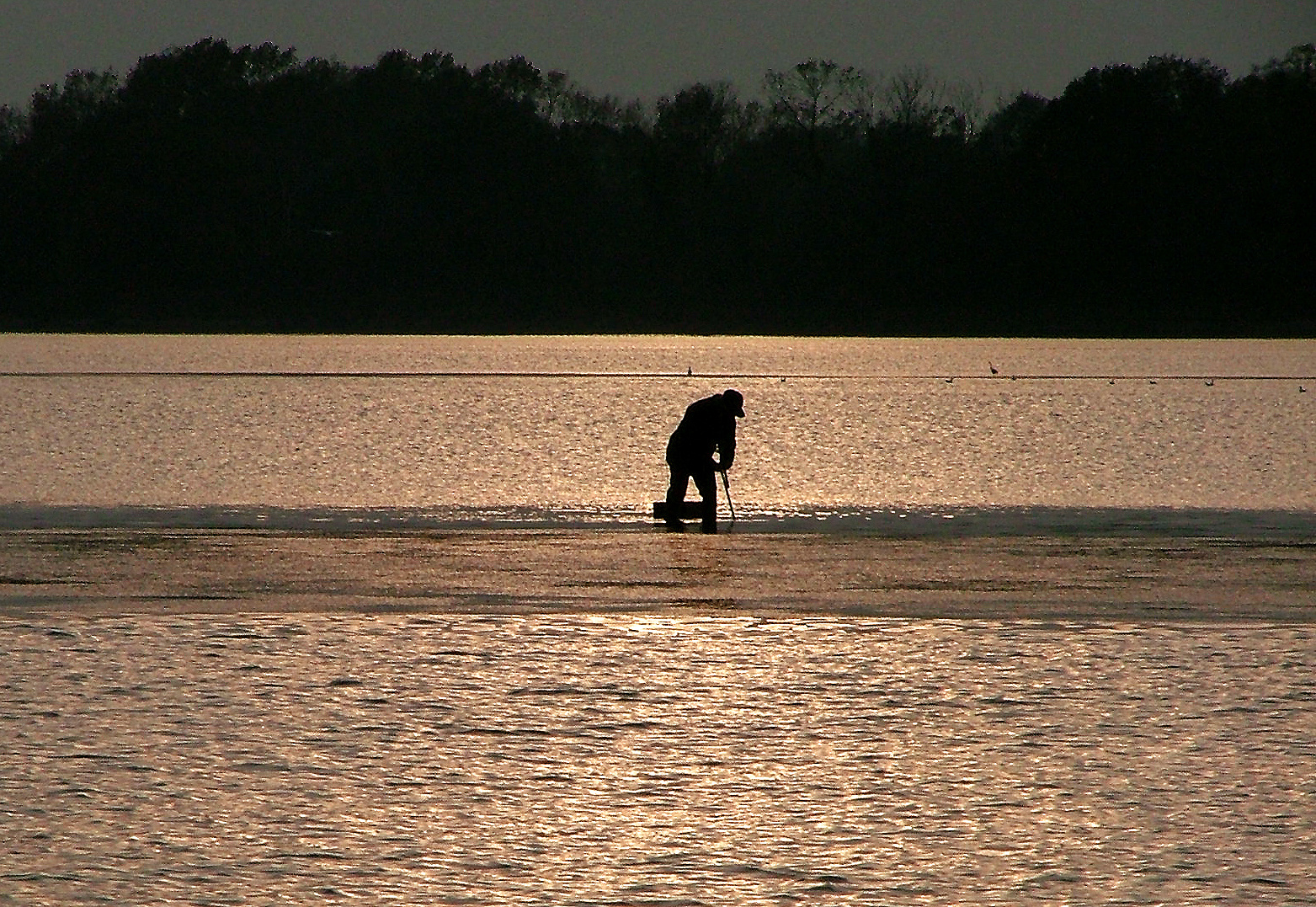 Laguna Veneta 1