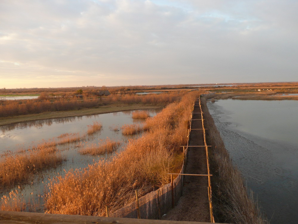 laguna veneta - La Brussa