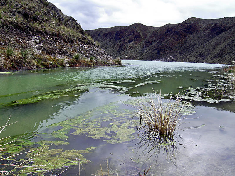 laguna verde